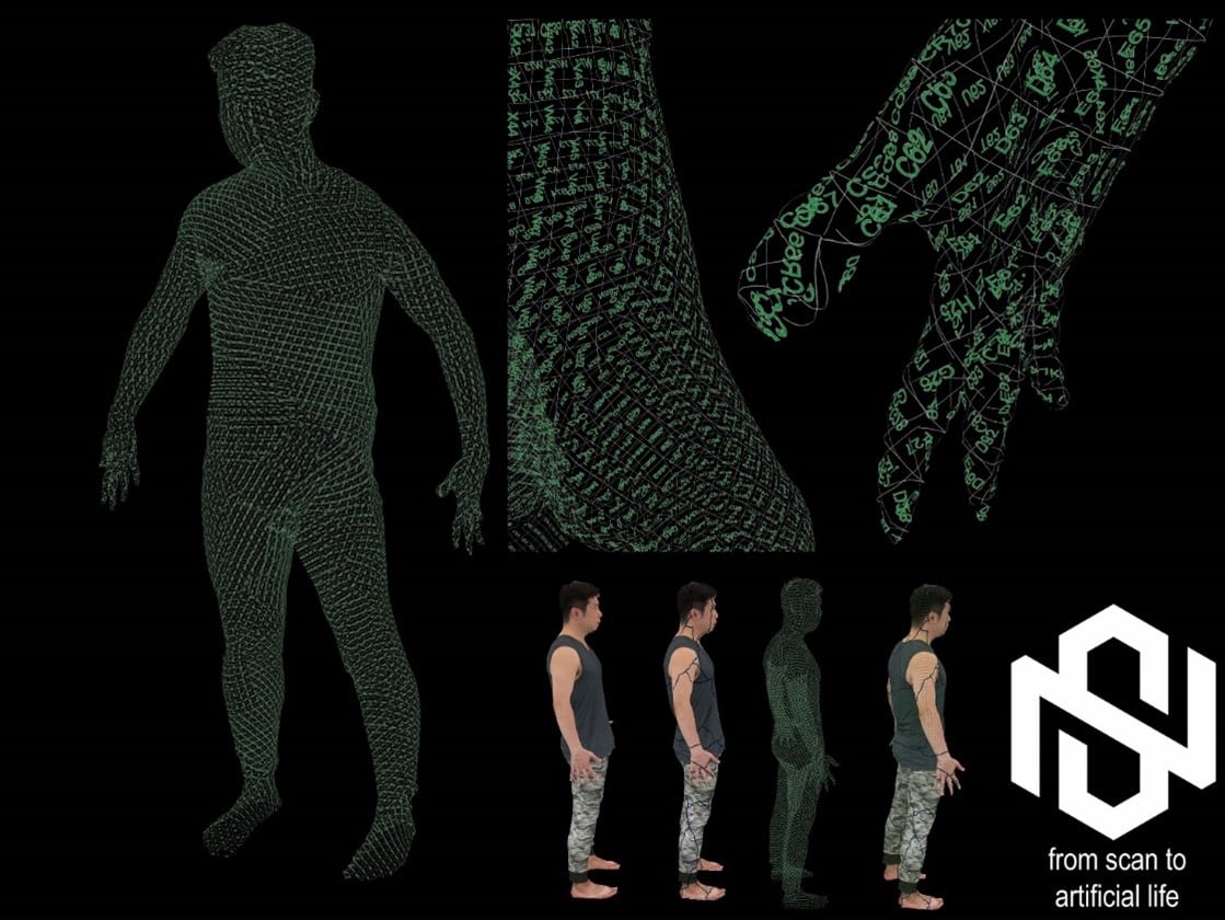 modelli 3d intelligenti del corpo umano con grigliati metrici