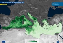 Clorofilla nel Mediterraneo: dati Copernicus e suoi impatti Clorofilla nel Mediterraneo: dati Copernicus, blue economy e nuove strategie UE per monitoraggio e tutela degli oceani.