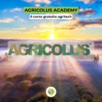 Digitalizzazione agricola: corso gratuito Agricolus Agricolus Academy apre le iscrizioni al corso gratuito su AgriTech e strumenti digitali per agronomi, tecnici e agricoltori per la digitalizzazione agricola.