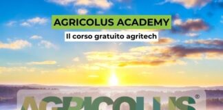 Digitalizzazione agricola: corso gratuito Agricolus Agricolus Academy apre le iscrizioni al corso gratuito su AgriTech e strumenti digitali per agronomi, tecnici e agricoltori per la digitalizzazione agricola.