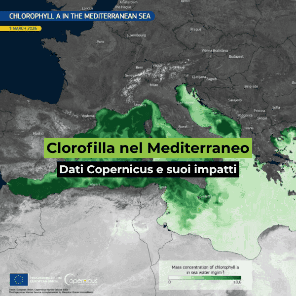  Clorofilla nel Mediterraneo: i dati di Copernicus