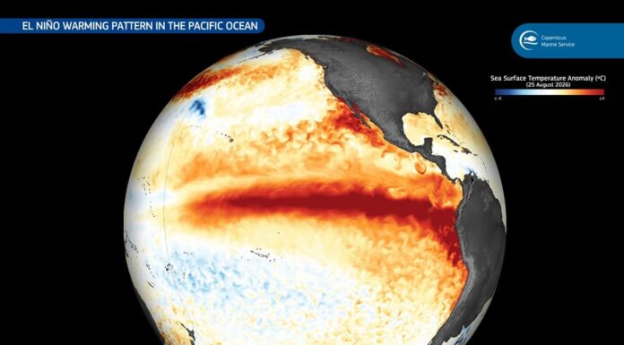 El Niño nel Pacifico: Copernicus mostra il riscaldamento oceanico El Niño nel Pacifico: Copernicus mostra il riscaldamento oceanico